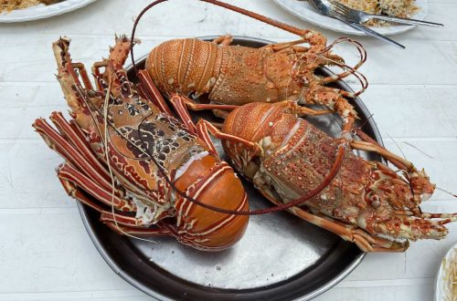 омары - обычная еда в трекинге на Сокотре