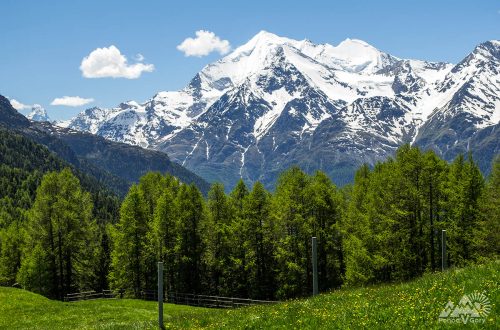 Походы в Швейцарских Альпах