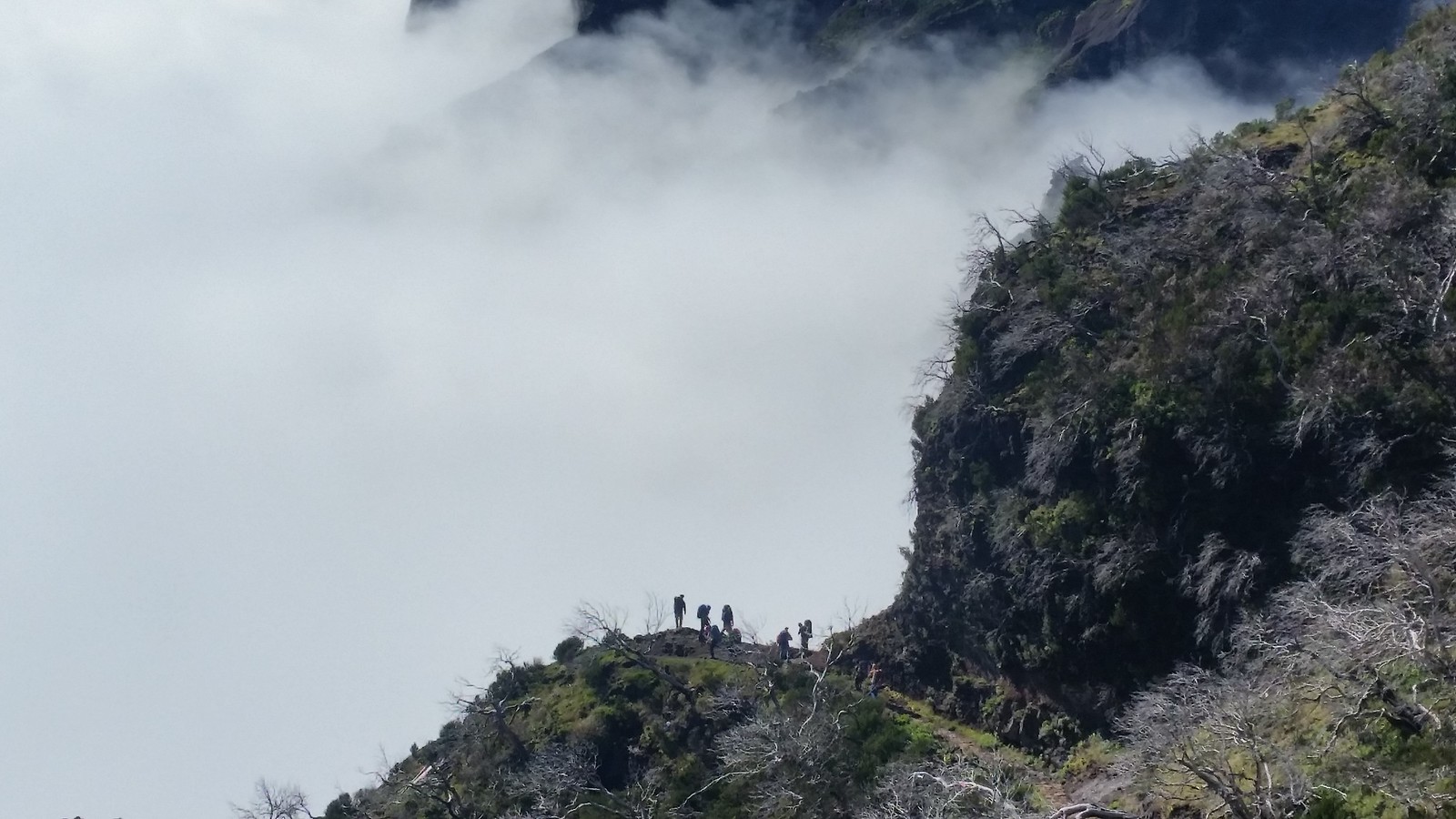 Вище хмар - трекінг на острові Мадейра