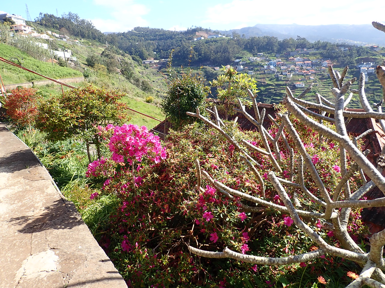 Селище Camara-de-Lobos