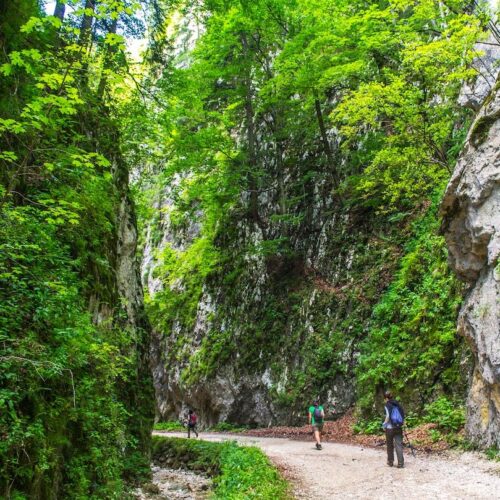 каньйон Зарнестілор