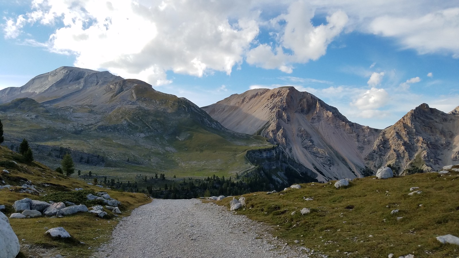 Дорога в притулок