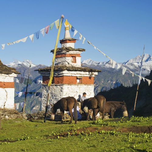 Ступа в Бутані