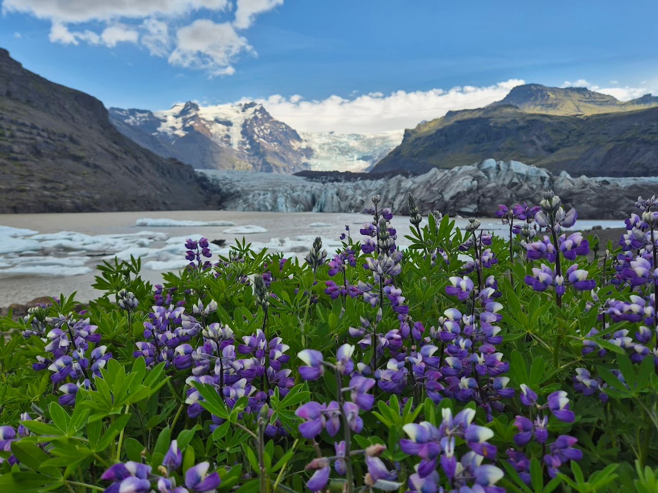 Льодовик Свінафелльсйокудль