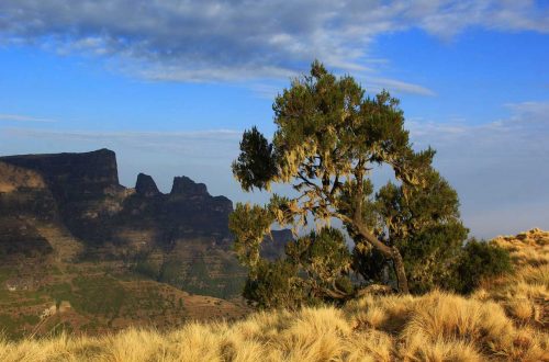Природа Ефіопії: Сименський національний парк