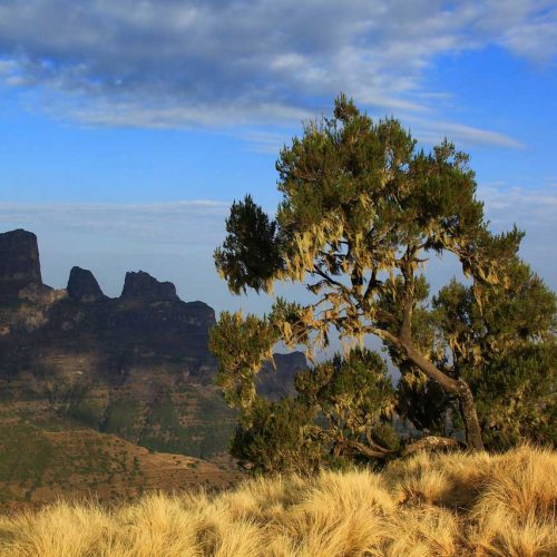 Природа Ефіопії: Сименський національний парк