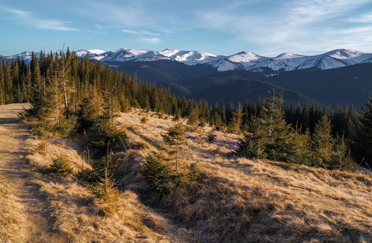 апрель - полонина Кукул