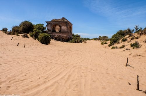 Пески Африки