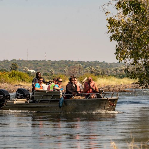 Группа катается на лодке посреди бегемотов и крокодилов