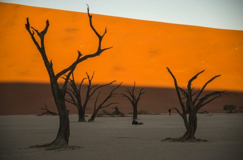 Deadveli - долина мертвых деревьев в пустыне Намиб