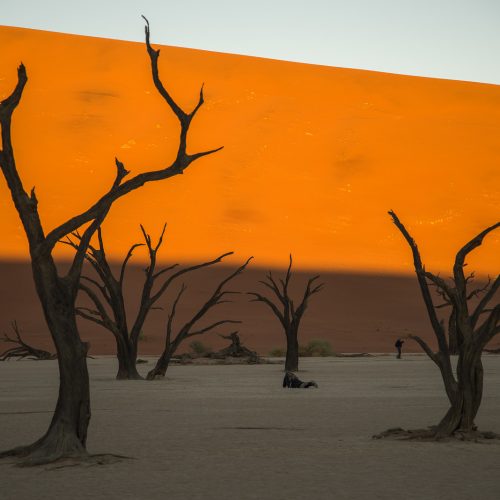 Deadveli - долина мертвых деревьев в пустыне Намиб