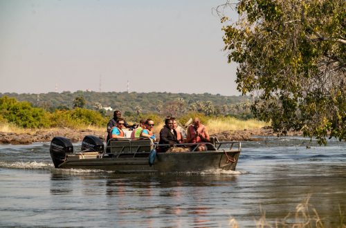 Група катається на лодці посеред бегемотів і крокодилів