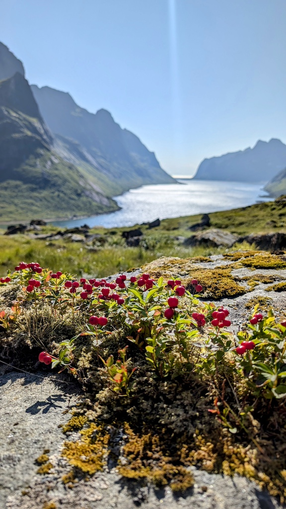 Поход по Лапландии и Лофотенским островам