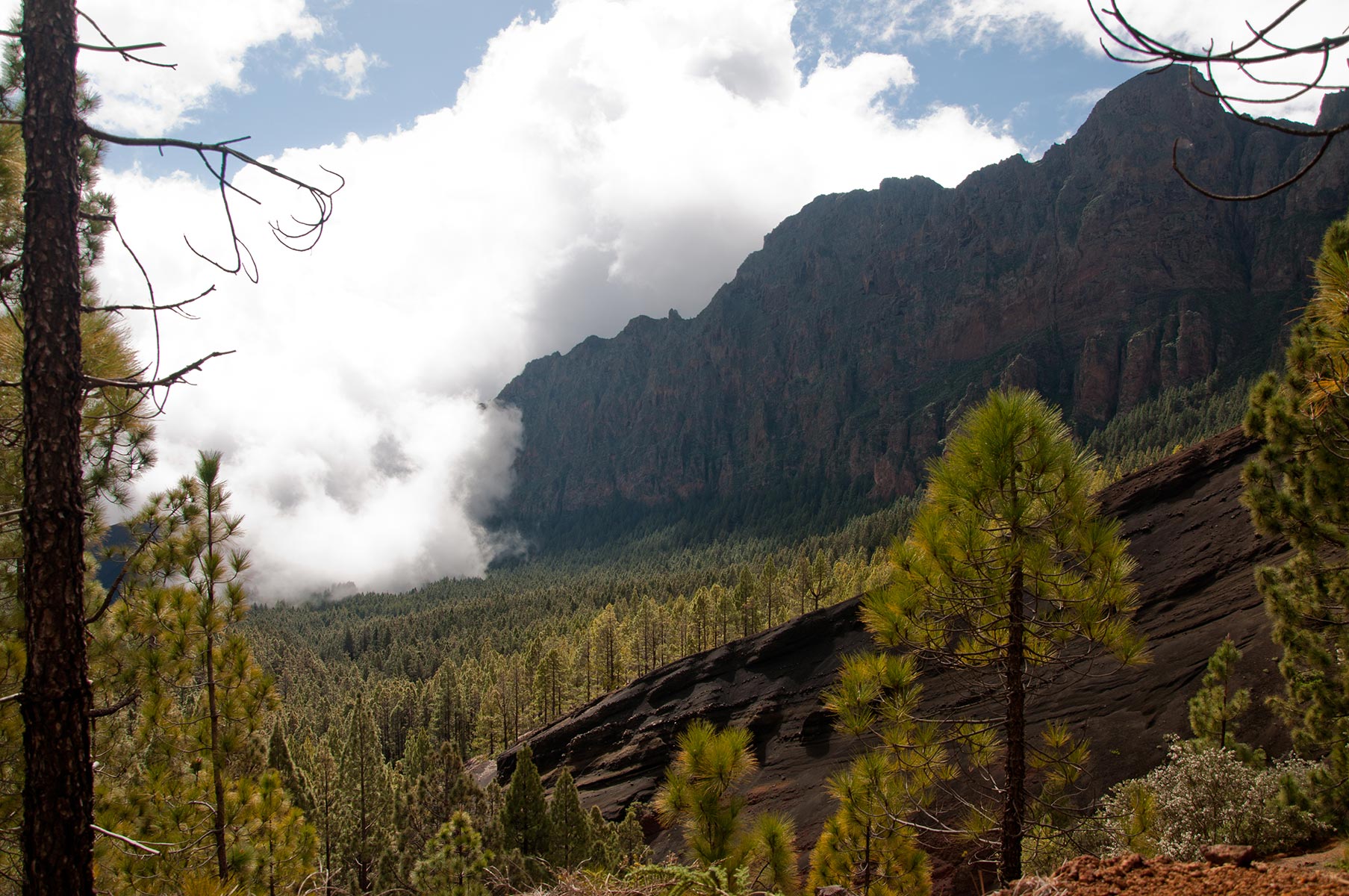 Тенеріфе: активний тур