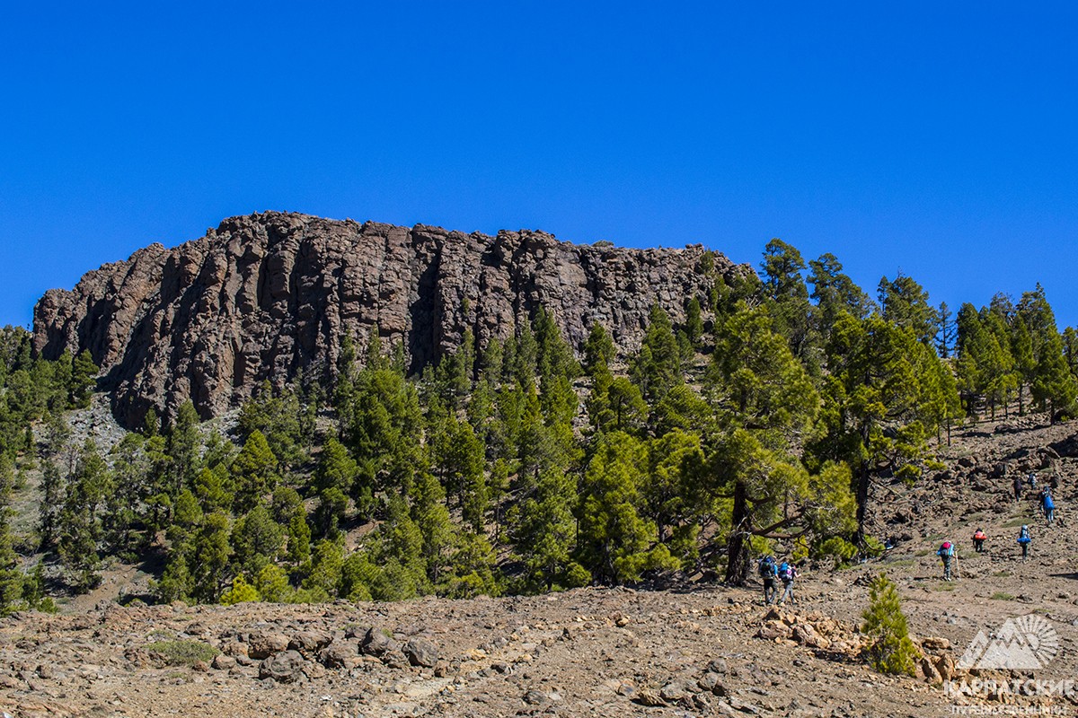 Тур на Канарах