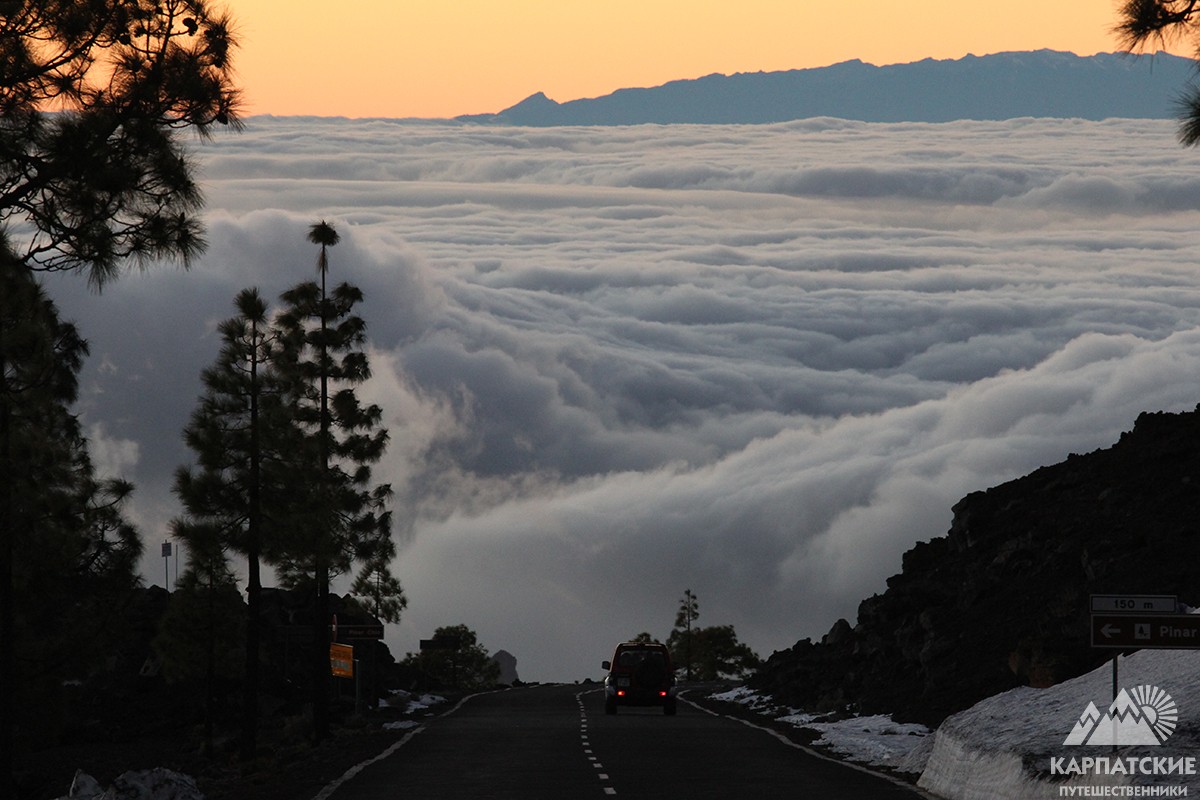туман на Тенеріфе
