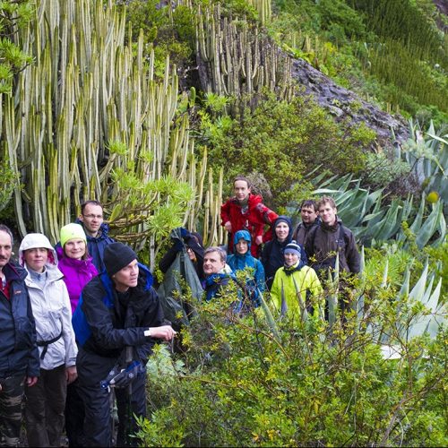 Тур на Тенеріфе - трекінг в горах Анага