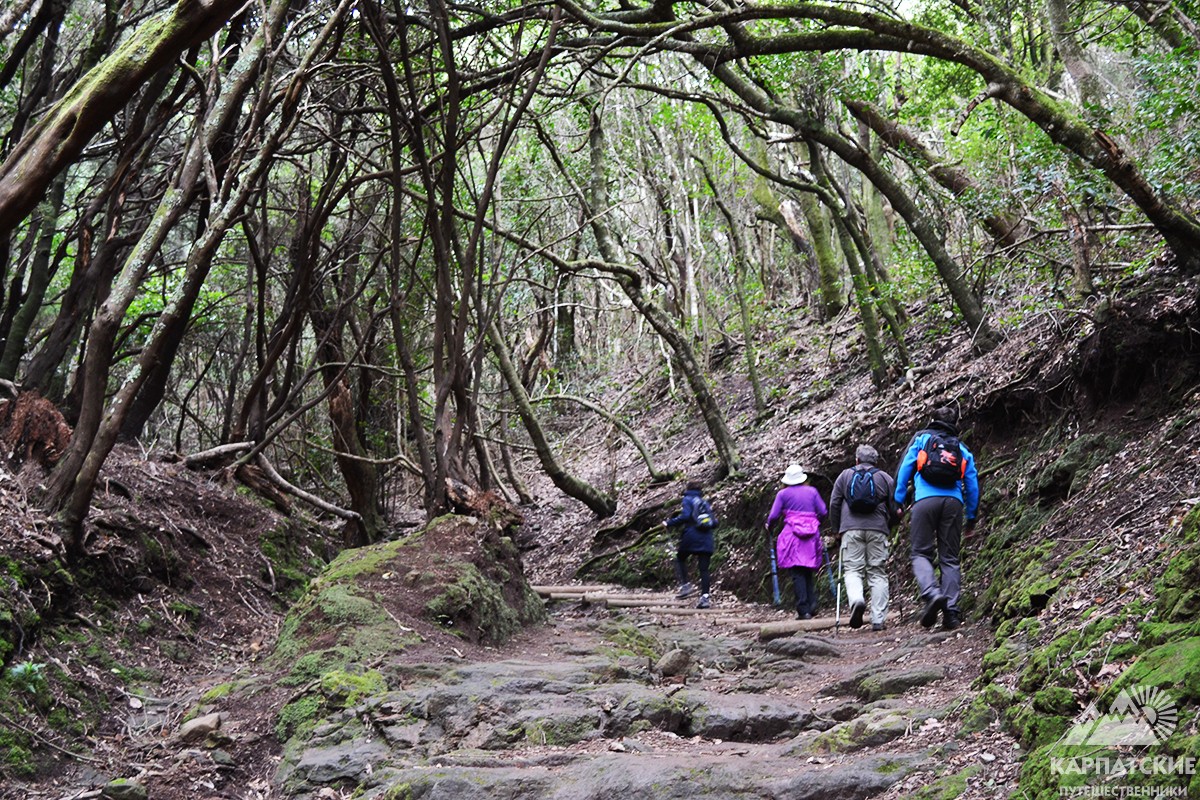 активний тур на Канарах