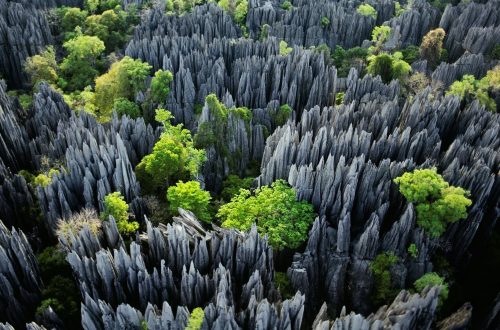 Цинги Каменный лес на Мадагаскаре