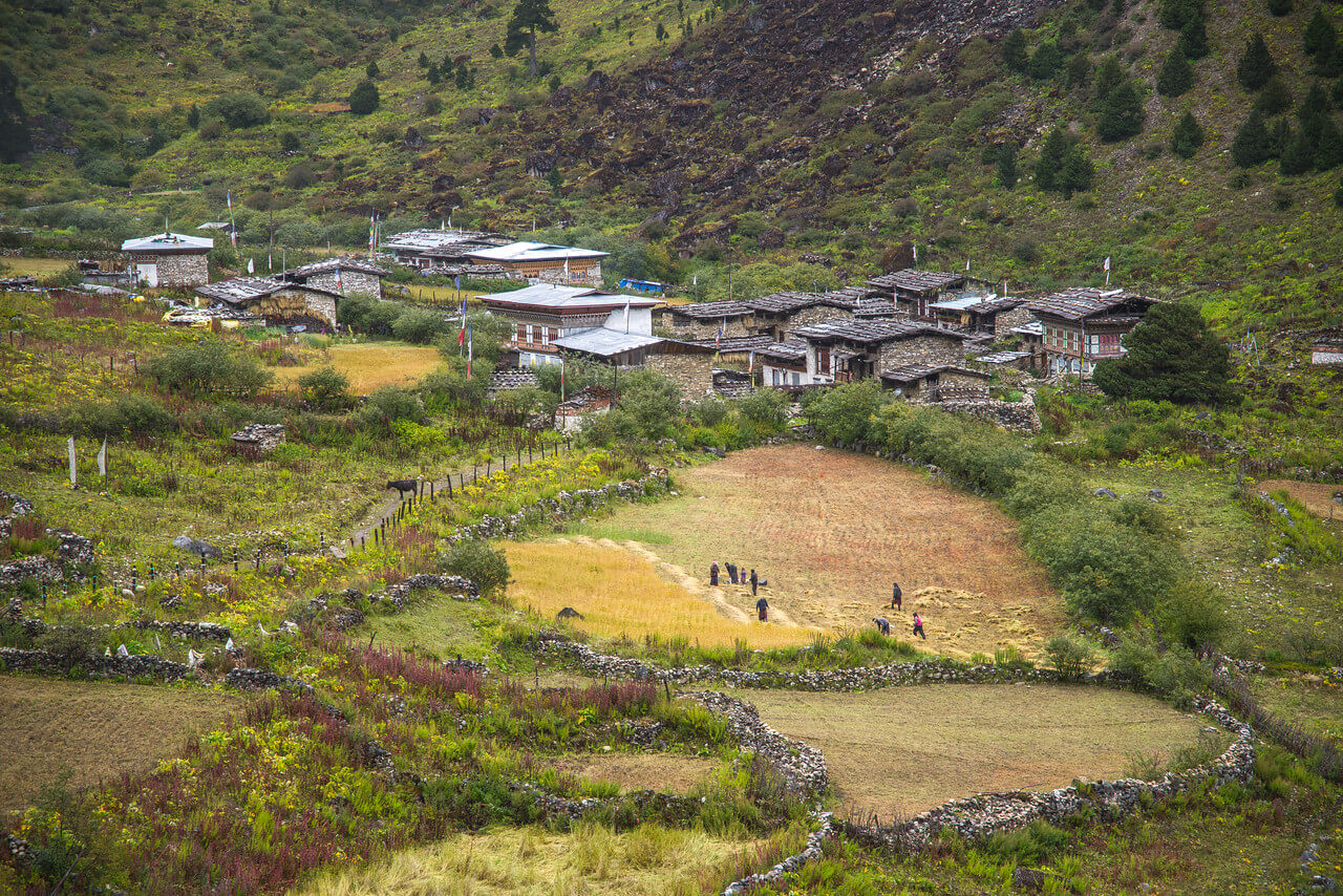Тераси в Гімалаях