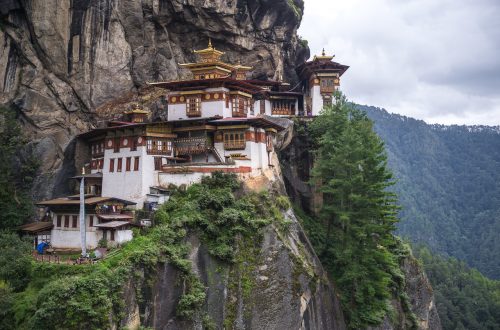 Тури в Бутан. Гнізно Тигра