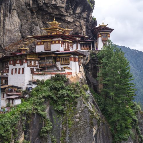 Тури в Бутан. Гнізно Тигра