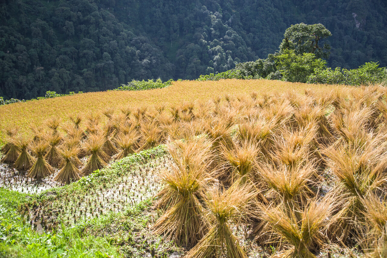 Город в горах