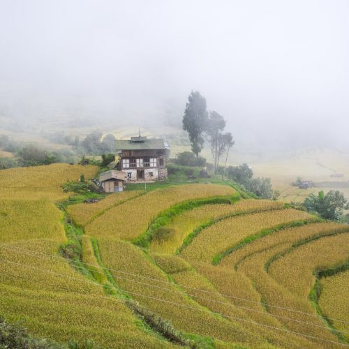 Земледельческие террасы в Бутане, Гималаи