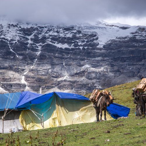 Поселение кочевых пастухов в горах Бутана