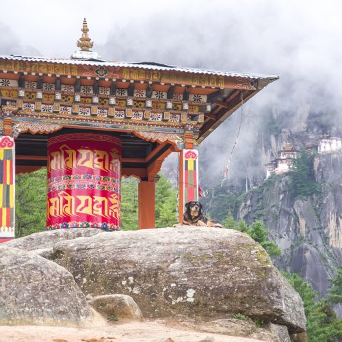 Тури Гніздо Тигра Бутан