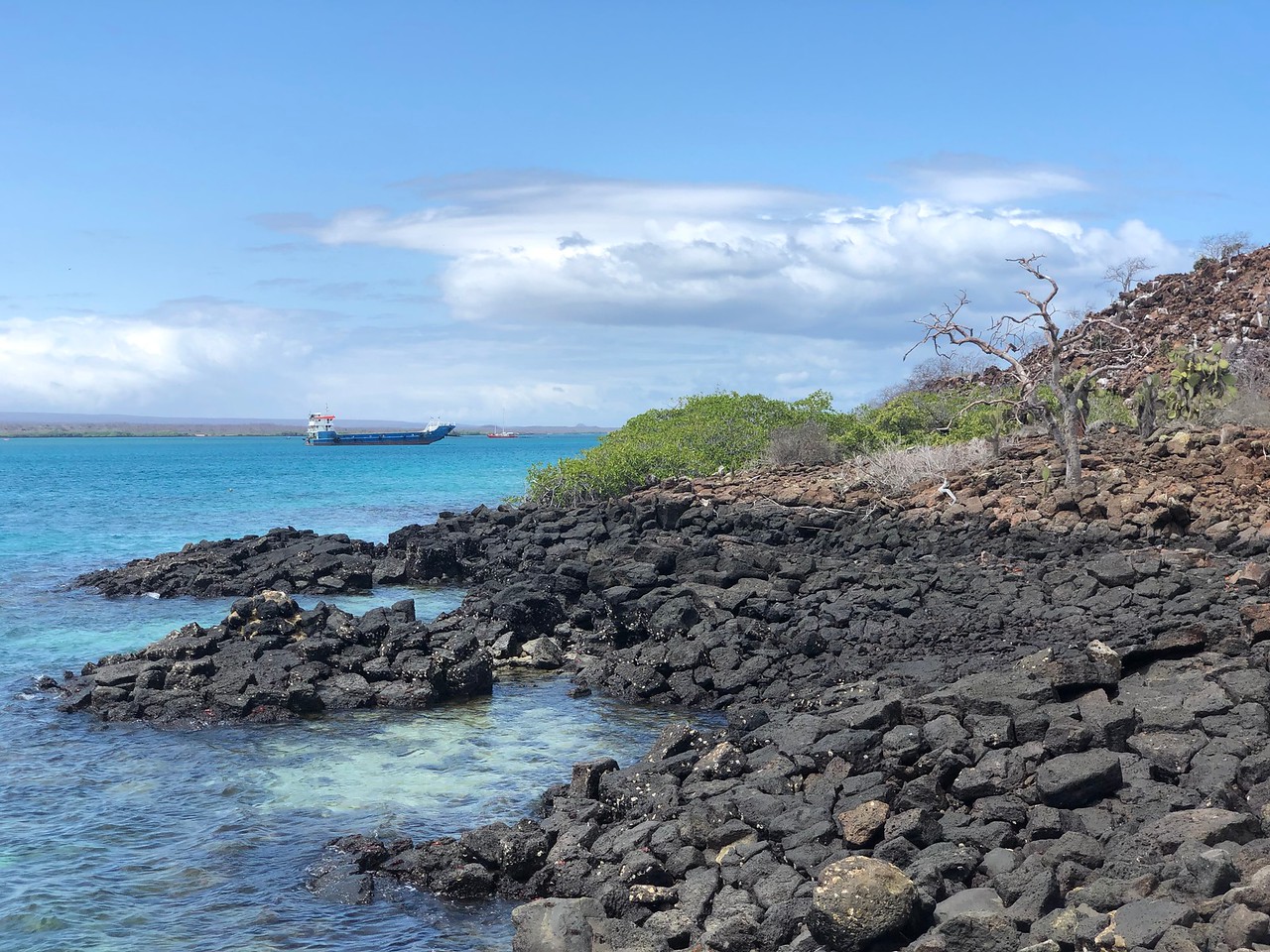 Узбережжя Галапагосів