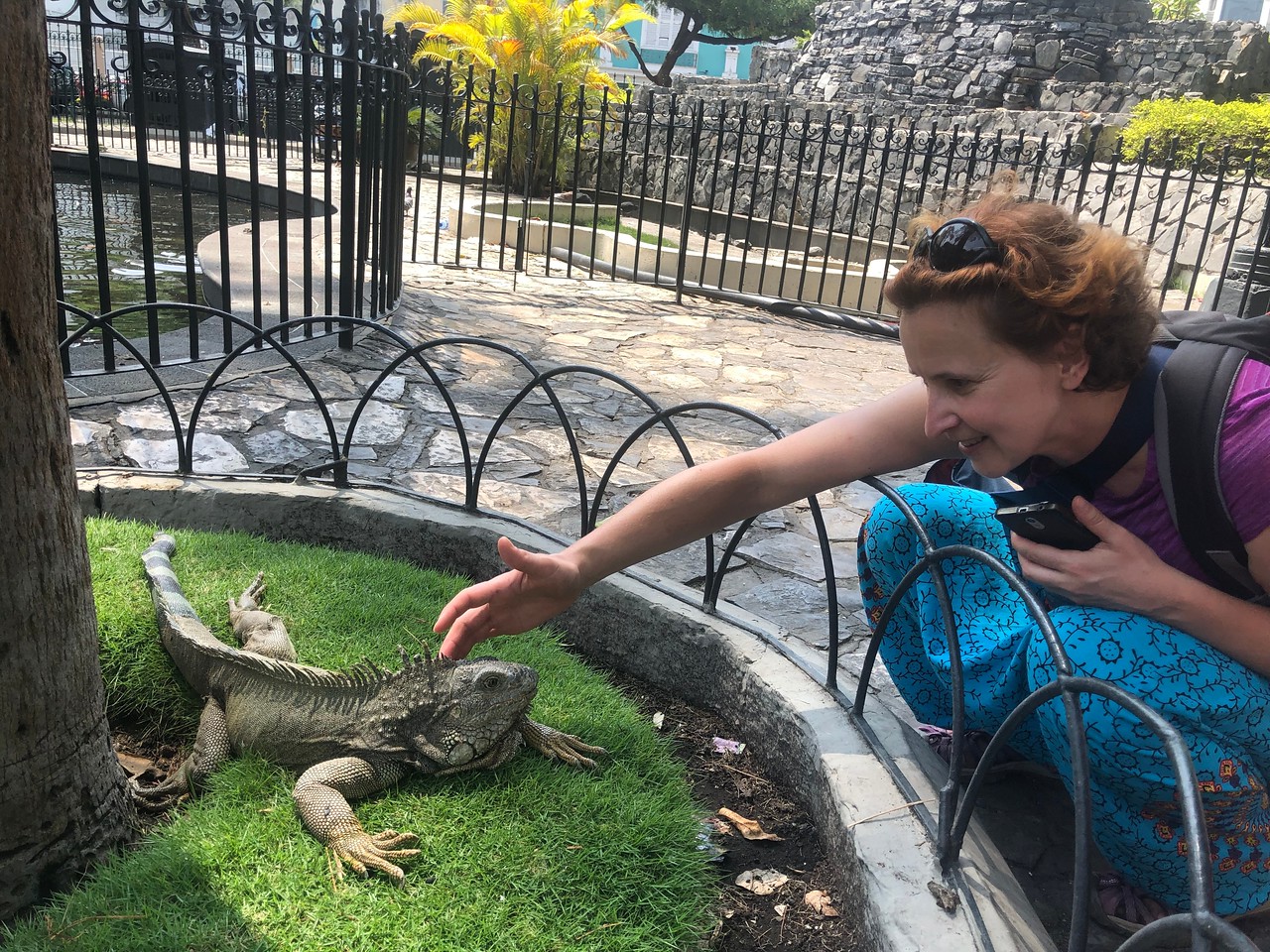 Туристка з ігуаною