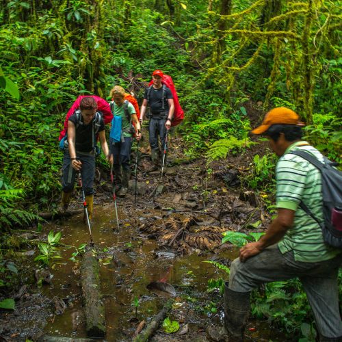 трекінг в джунглях Еквадору - Сумако
