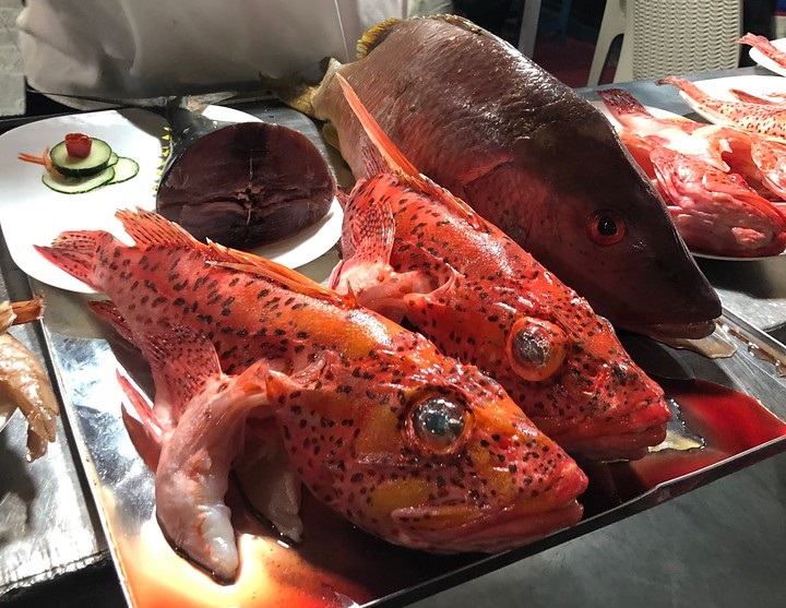 Риба в Еквадорі