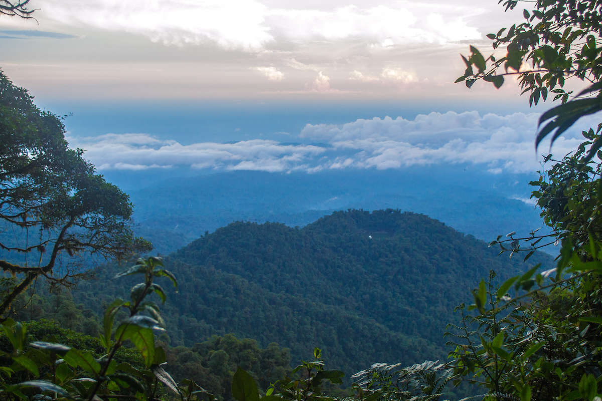 Сходження на вершину вулкана Сумако