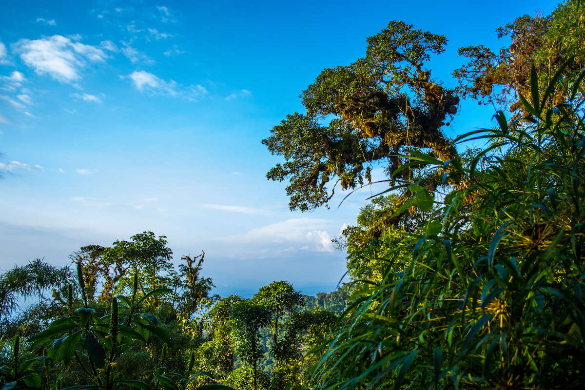 Зходження на вершину вулкана Сумако