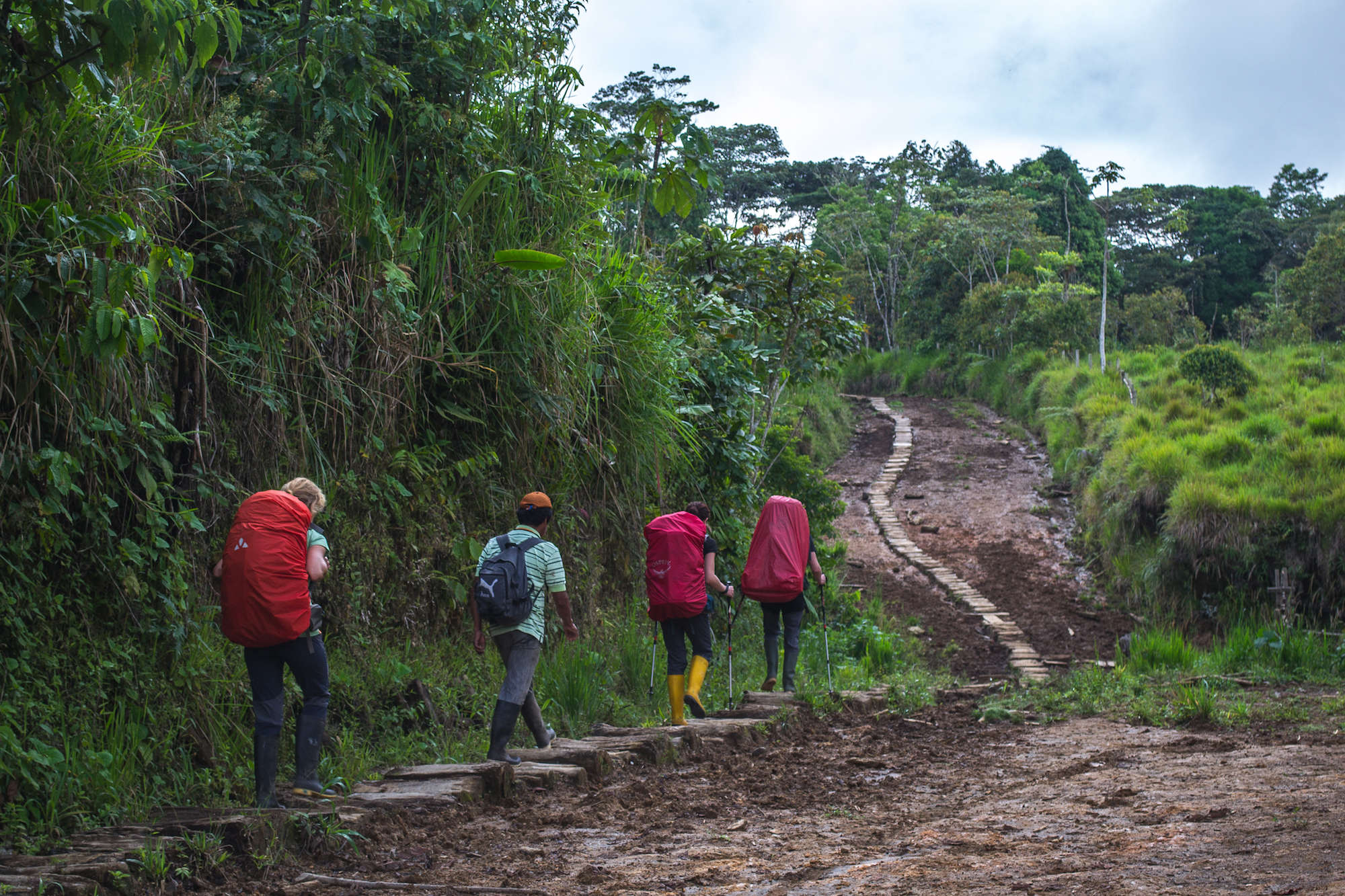 Пакто Сумако