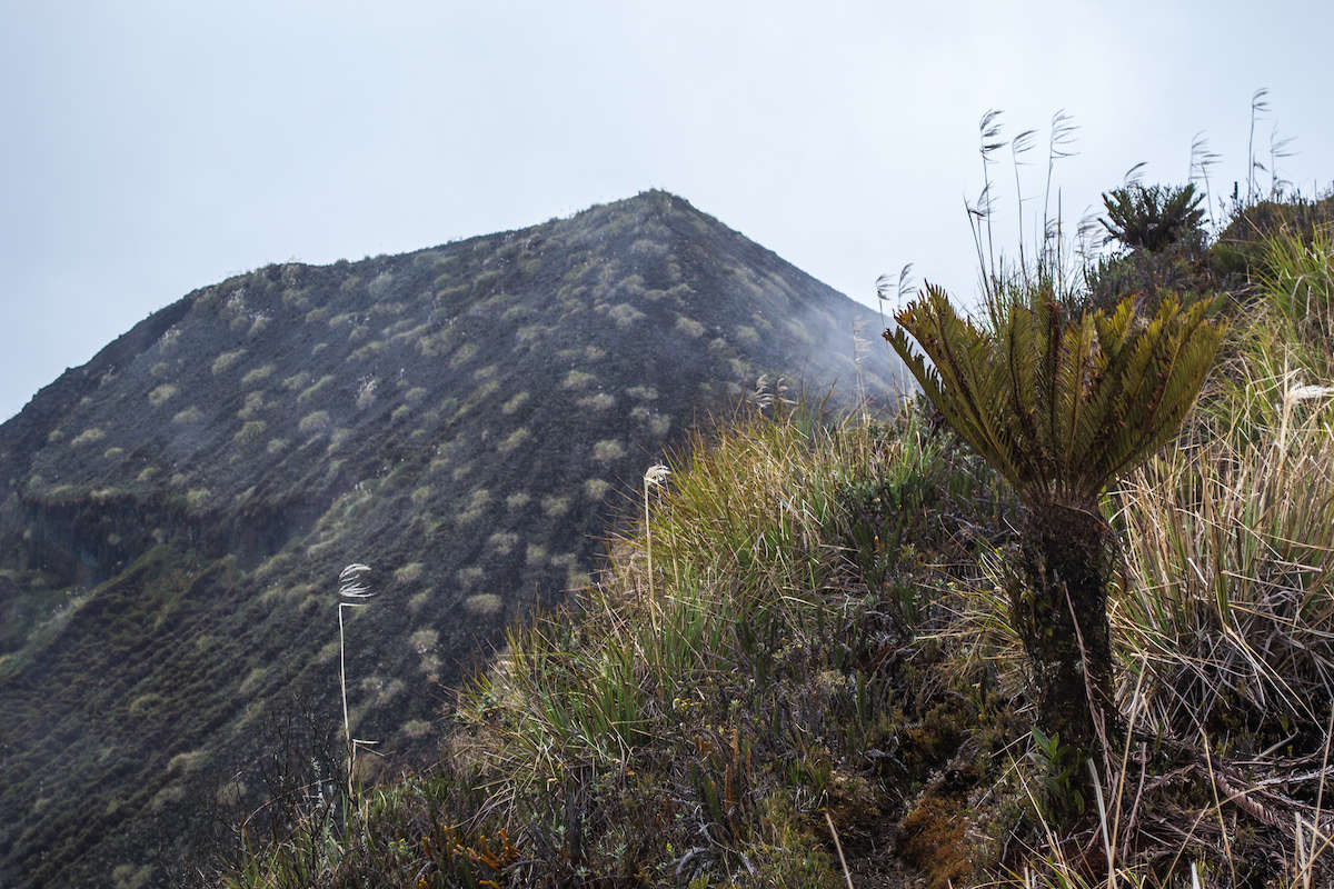 Сходження на вершину вулкана Сумако