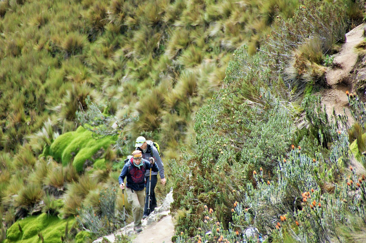 Підйом на Пічінчу