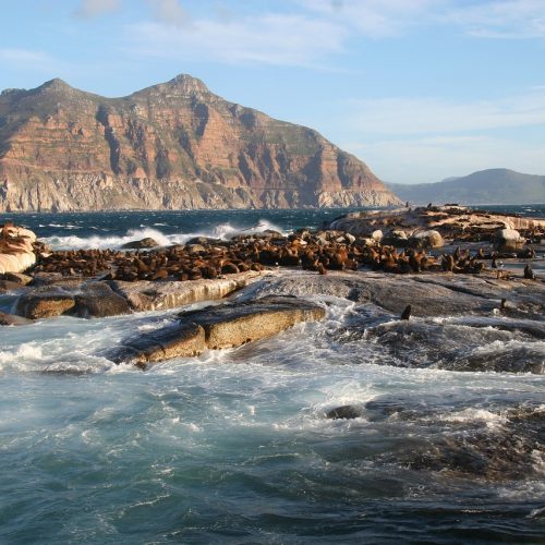 Остров Дункель возле Кейптауна