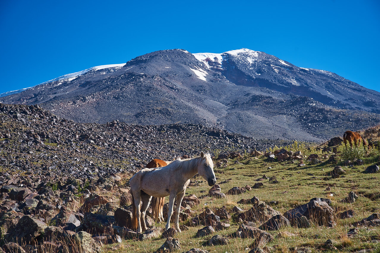 Восхождение на Арарат