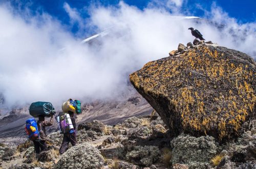 портеры на Килиманджаро