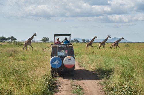 Сафари тур в Танзанию