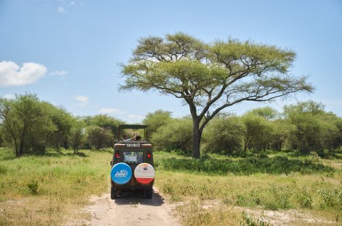 Сафарі в Африці, Танзанія