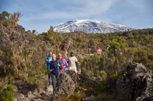 Килиманджаро, Танзания, поход в Африке