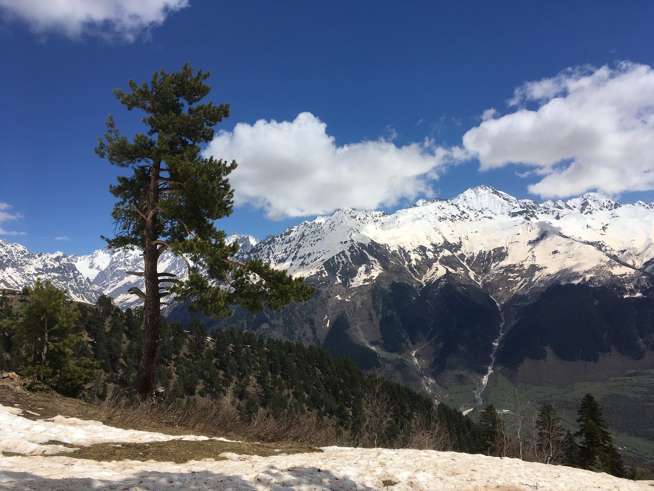 Гори весною