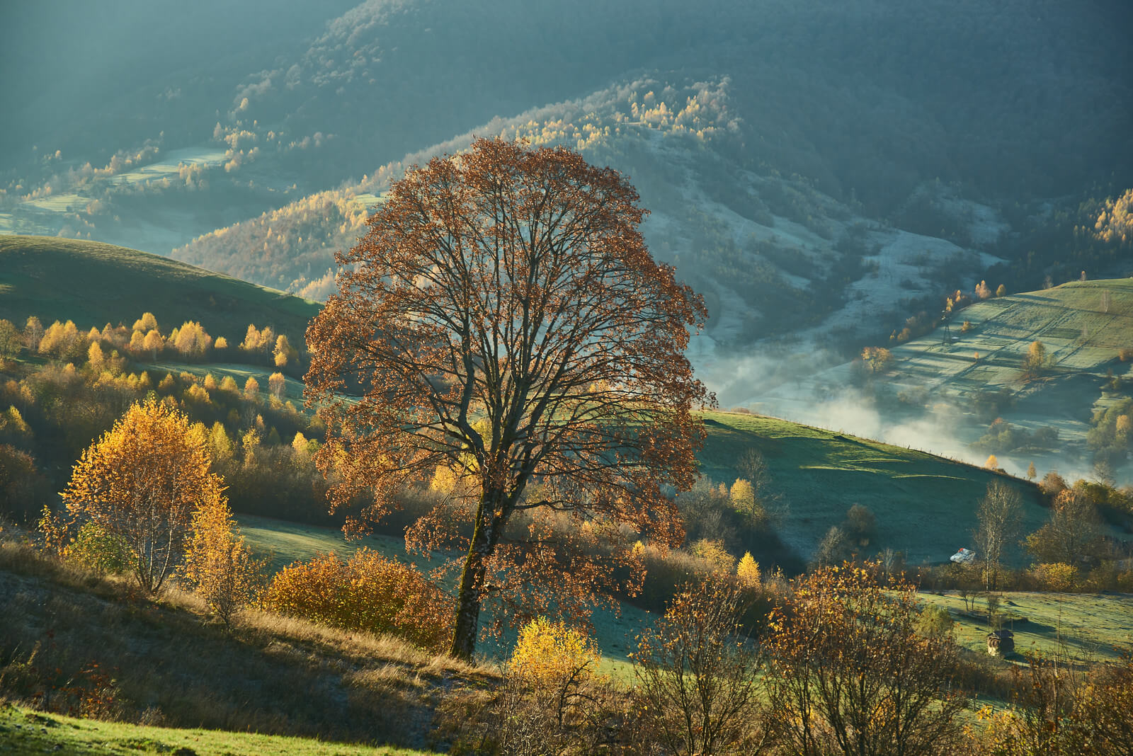 Осінь в Карпатах тури