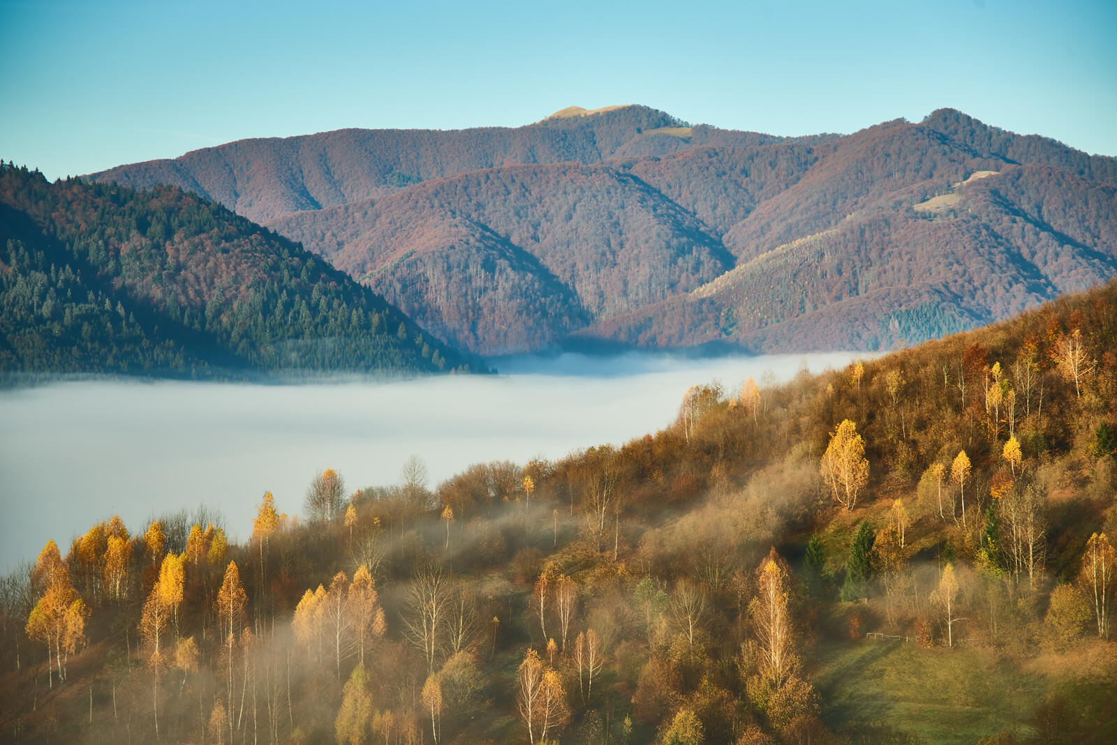 Цікаві тури на Закарпаття