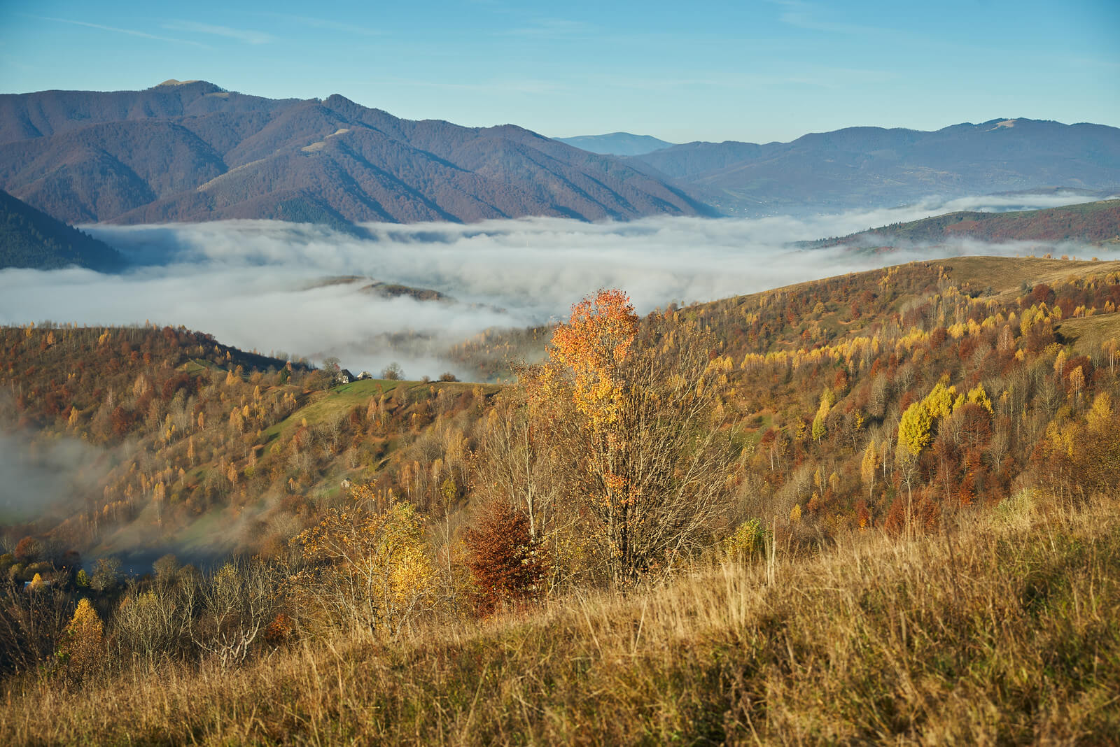 Що подивитись в Карпатах осінню