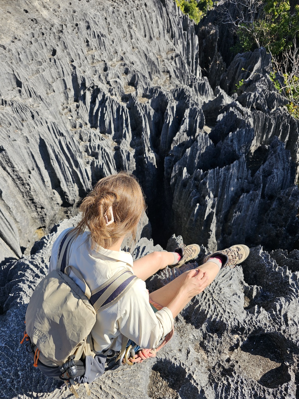 каменный лес Цинги Бемараха